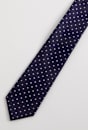 Silk Micro Dot Tie