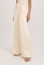 Nevine Pleat Front Pant