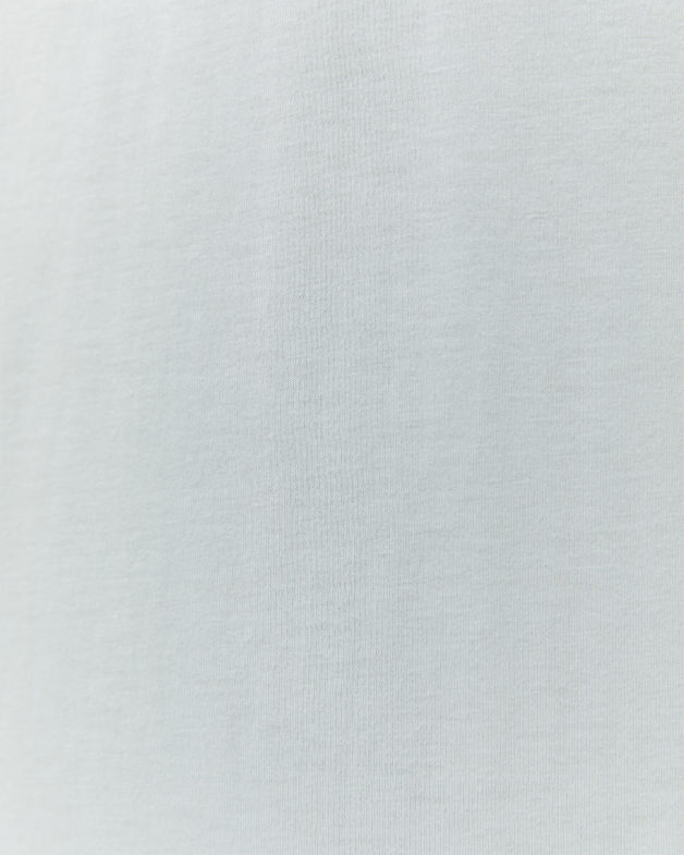 Daniel V Neck Tee in LICHEN