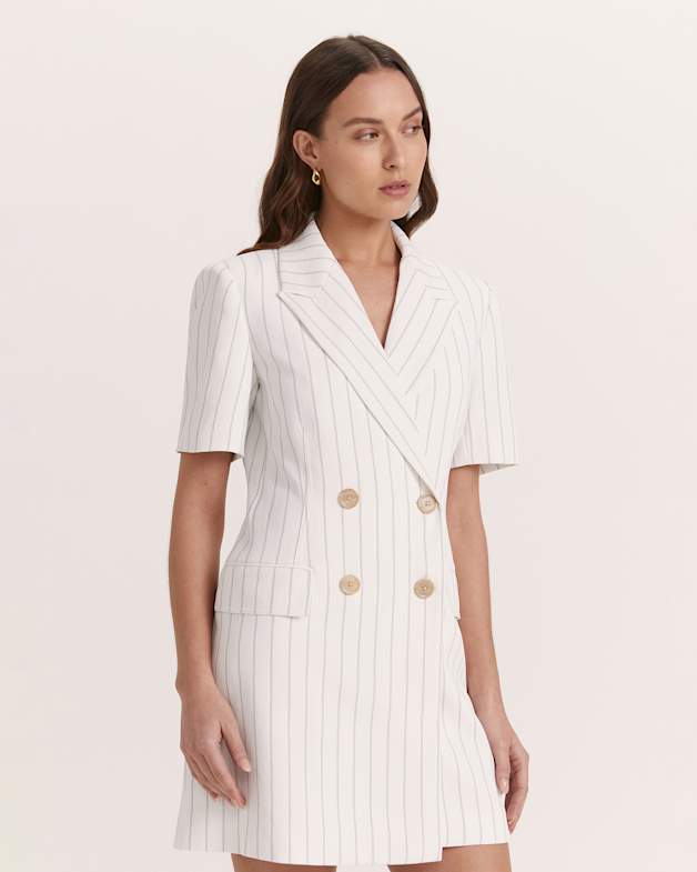 Dharma Pinstripe Blazer Dress in Pinstripe SABA