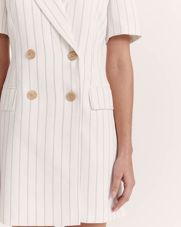 Dharma Pinstripe Blazer Dress in Pinstripe SABA