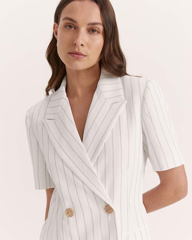 Dharma Pinstripe Blazer Dress in Pinstripe SABA