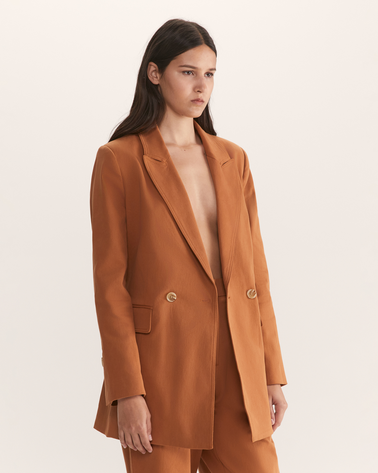 Phoebe Double Breasted Blazer in RUST