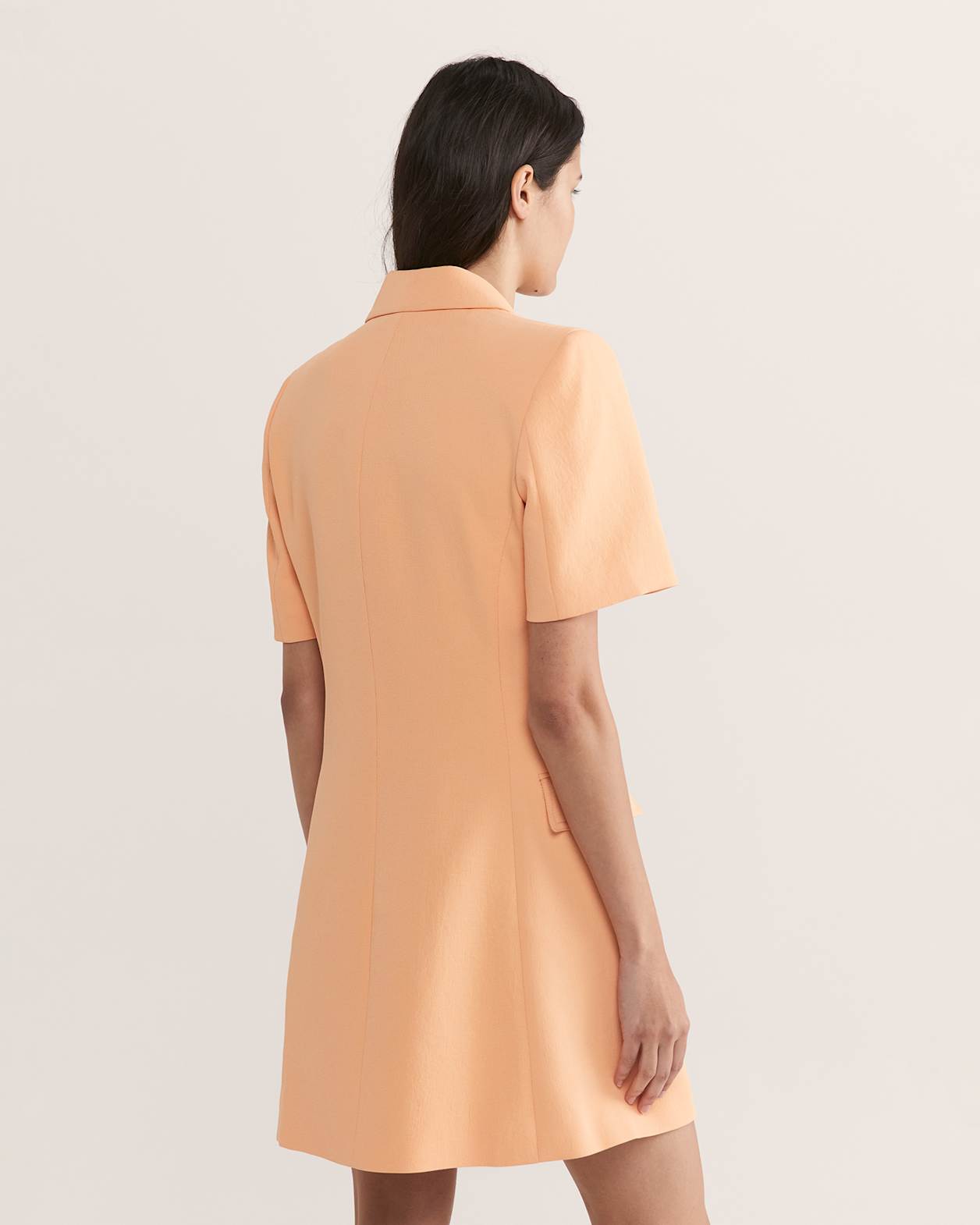 Dharma Blazer Dress in APRICOT