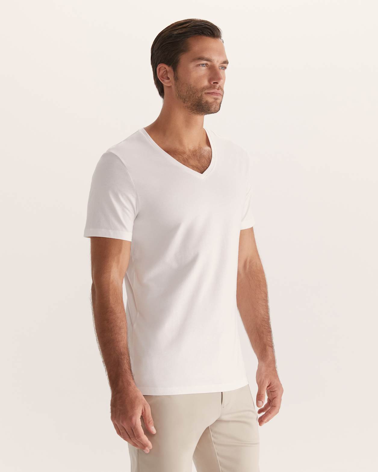 Daniel V Neck Tee in ARCTIC WHITE