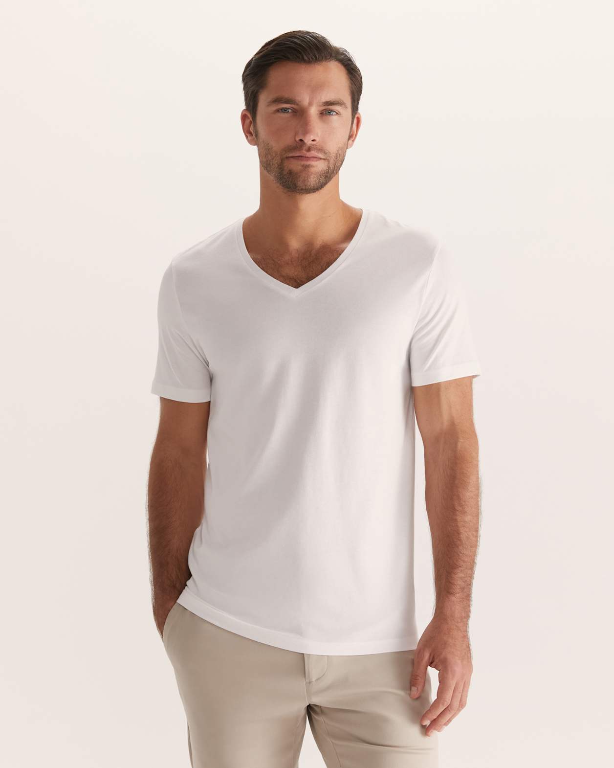 Daniel V Neck Tee in ARCTIC WHITE