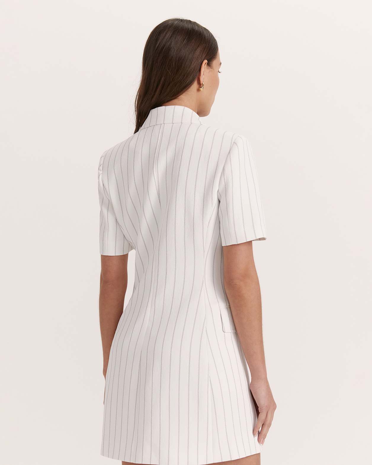 Dharma Pinstripe Blazer Dress in PINSTRIPE