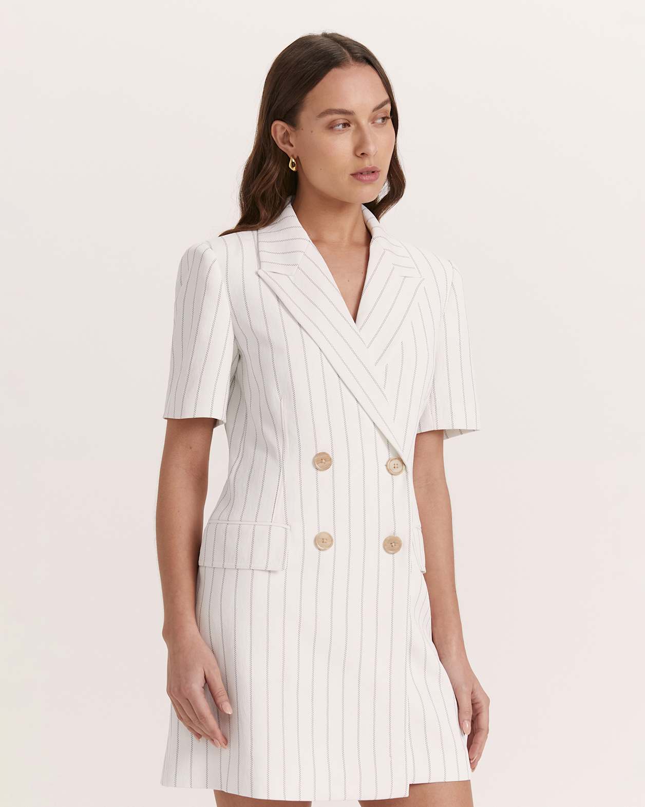 Dharma Pinstripe Blazer Dress in PINSTRIPE