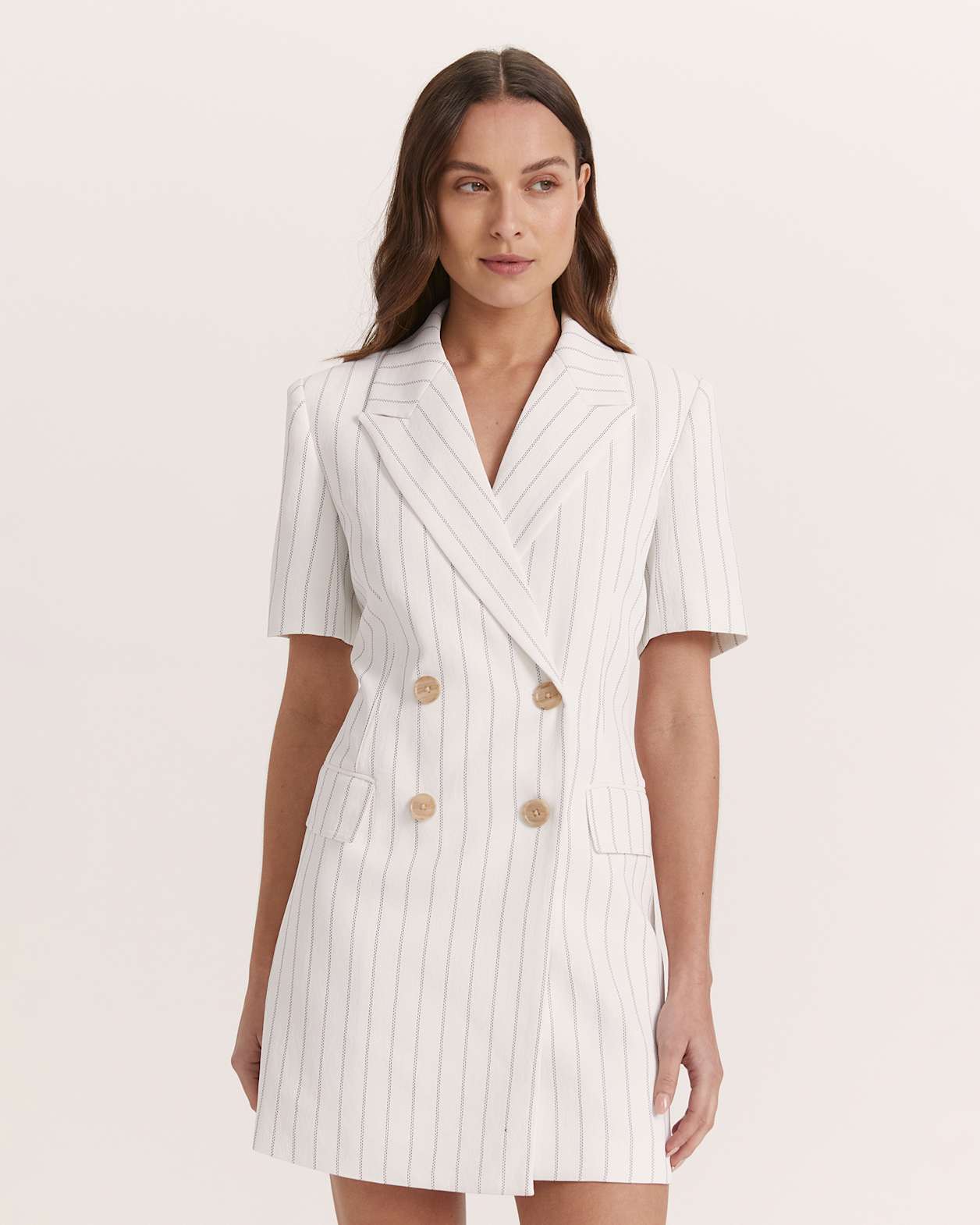 Dharma Pinstripe Blazer Dress in PINSTRIPE