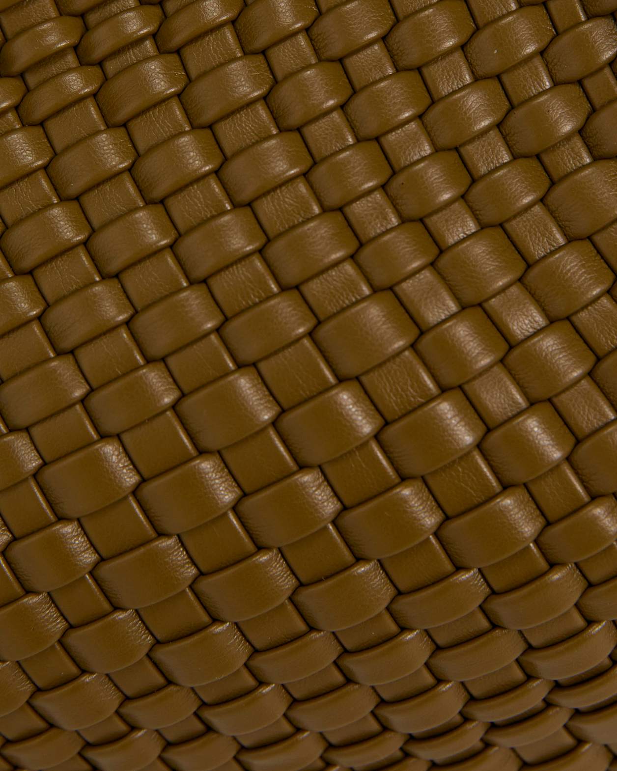 Ivy Large Woven Bag in OLIVE