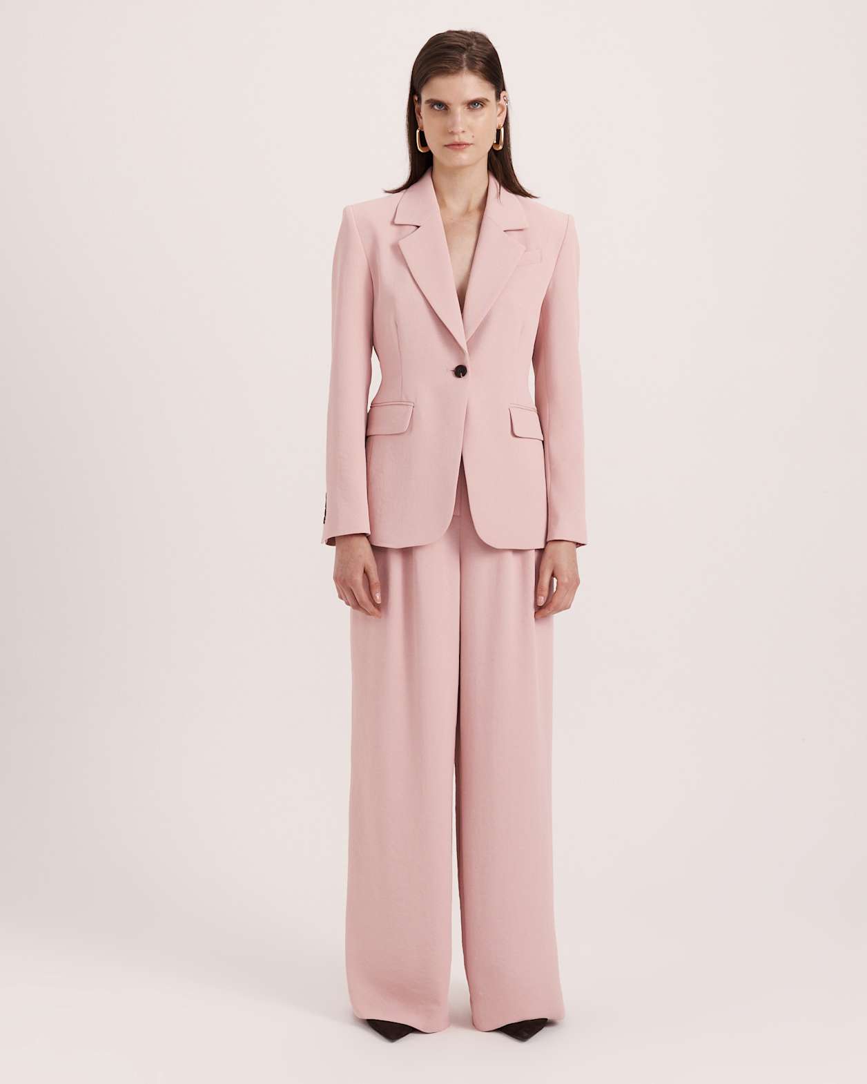 Dharma Pleat Front Pant in ROSE