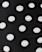BLACK/IVORY