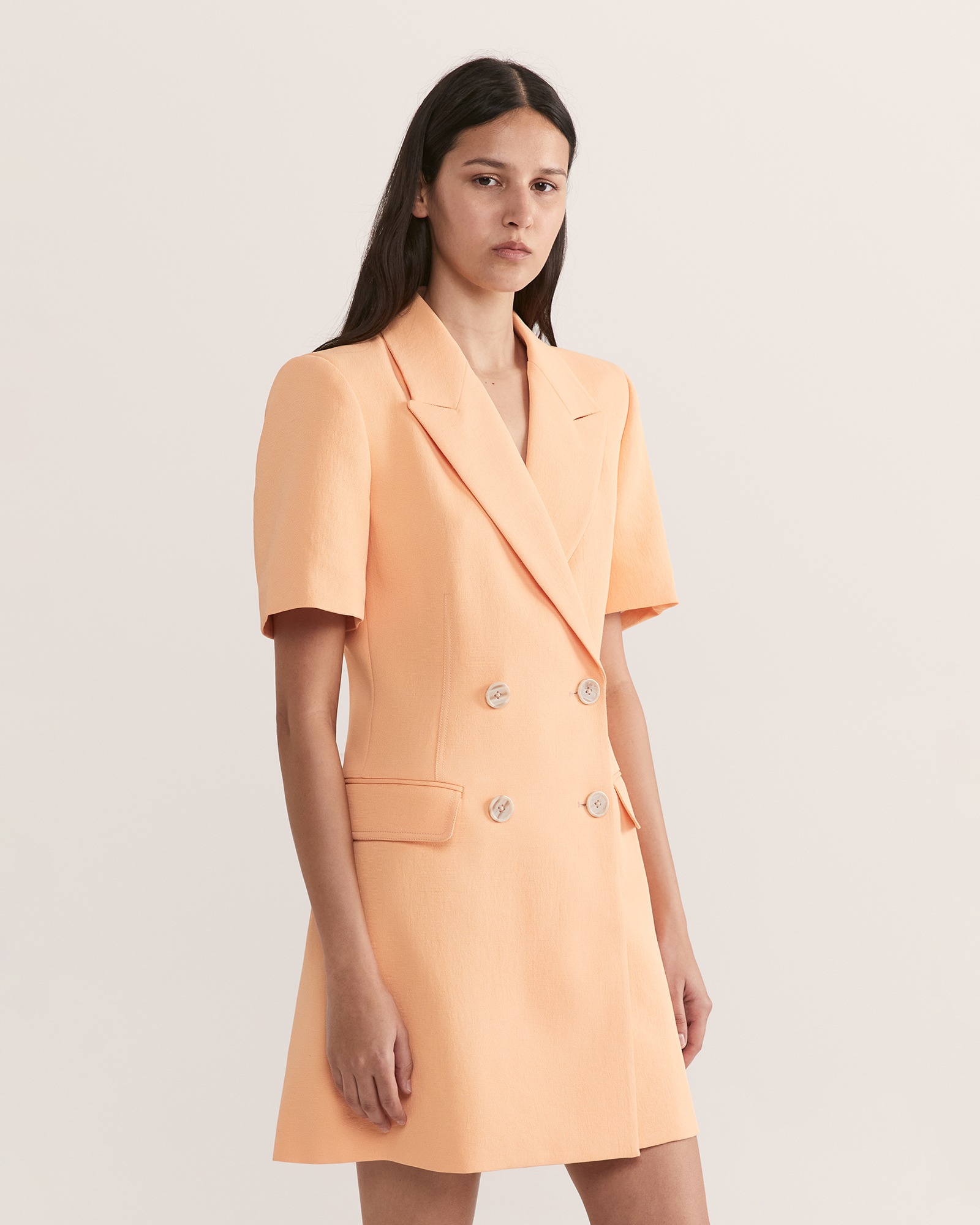 Dharma Blazer Dress SABA